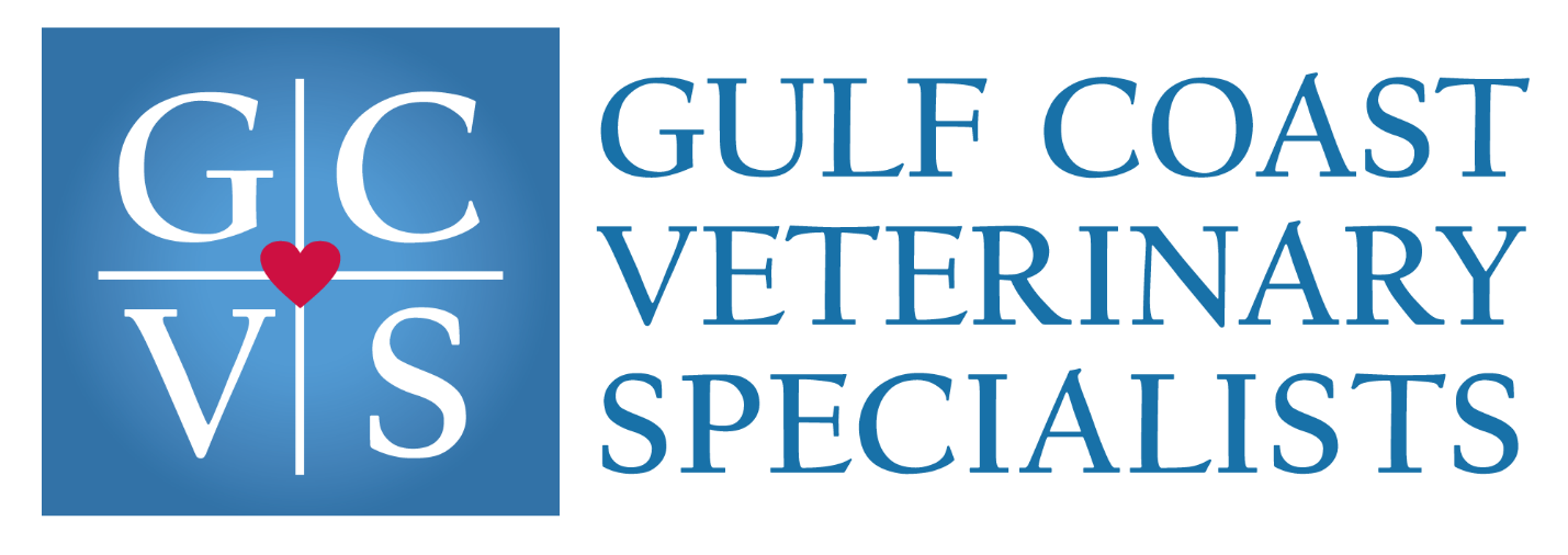 Gulf Coast Veterinary Specialists